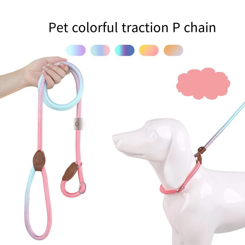 BowLift | Colorful Dog Leash for Stylish Walks