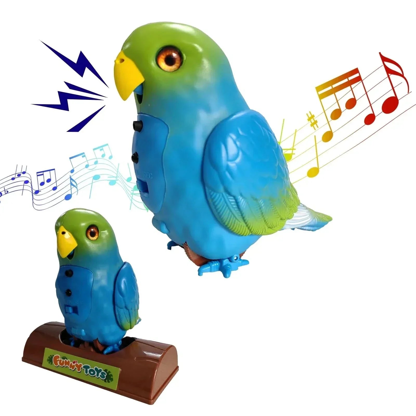 BowLift | Interactive talking parrot for children & adults