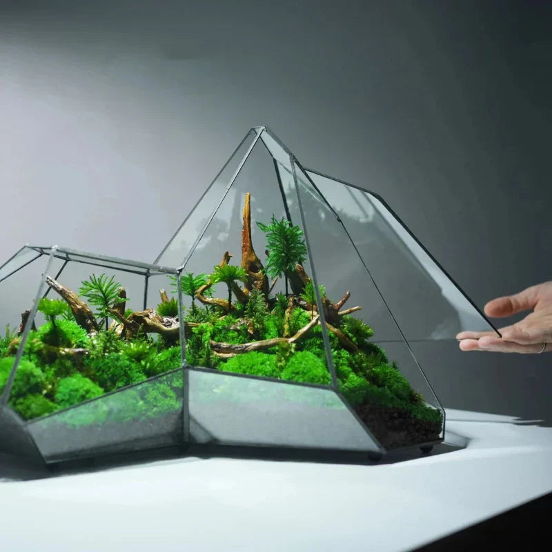 BowLift | Geometric Glass Moss Planter Terrarium Vase