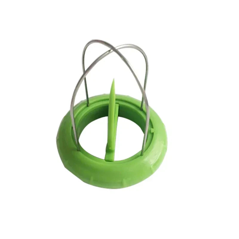 BowLift | Fruit Lover Kiwi Cutter
