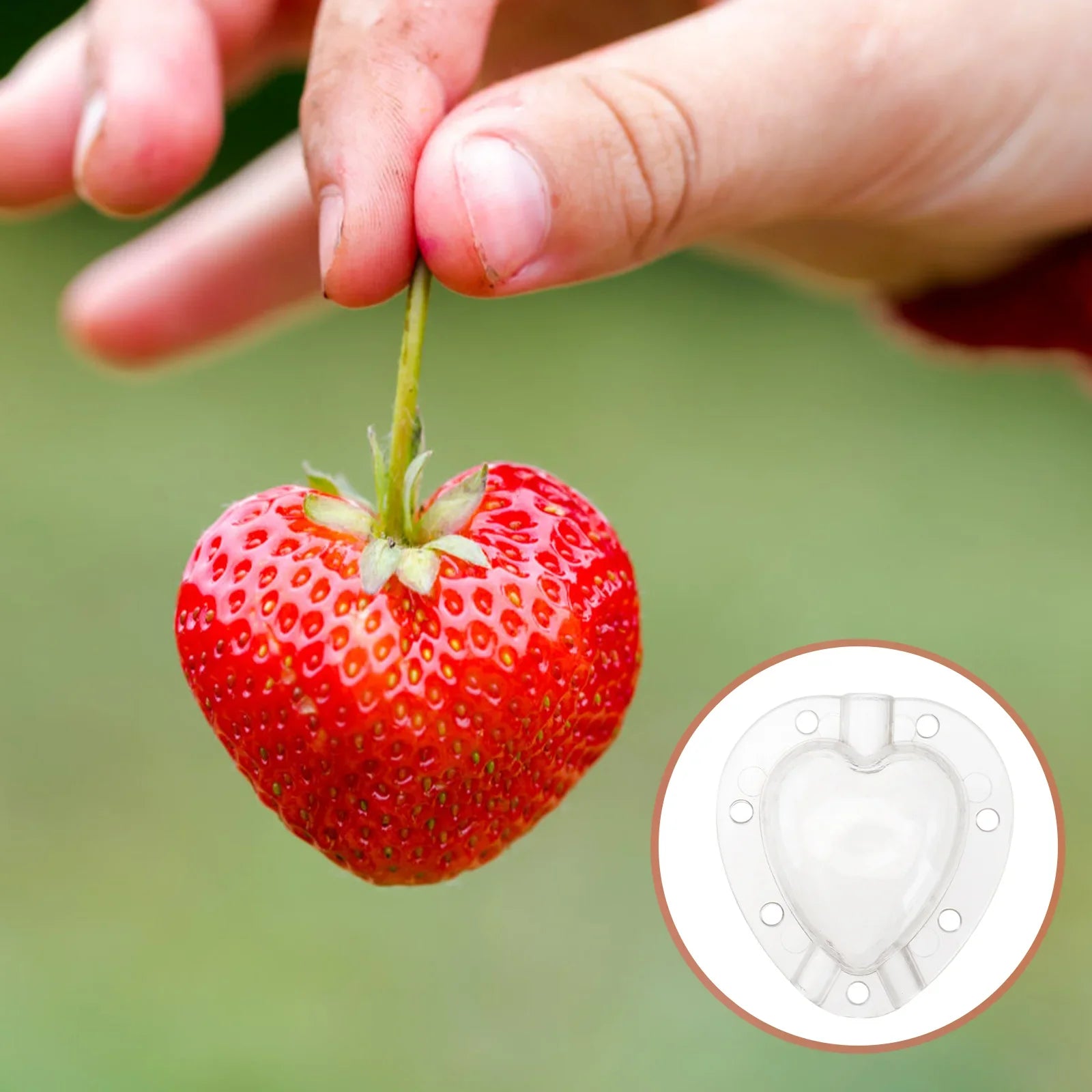 BowLift | Heart Shaped Vegetable Cutter – Creative Mold Bowl for Vegetables and Fruits