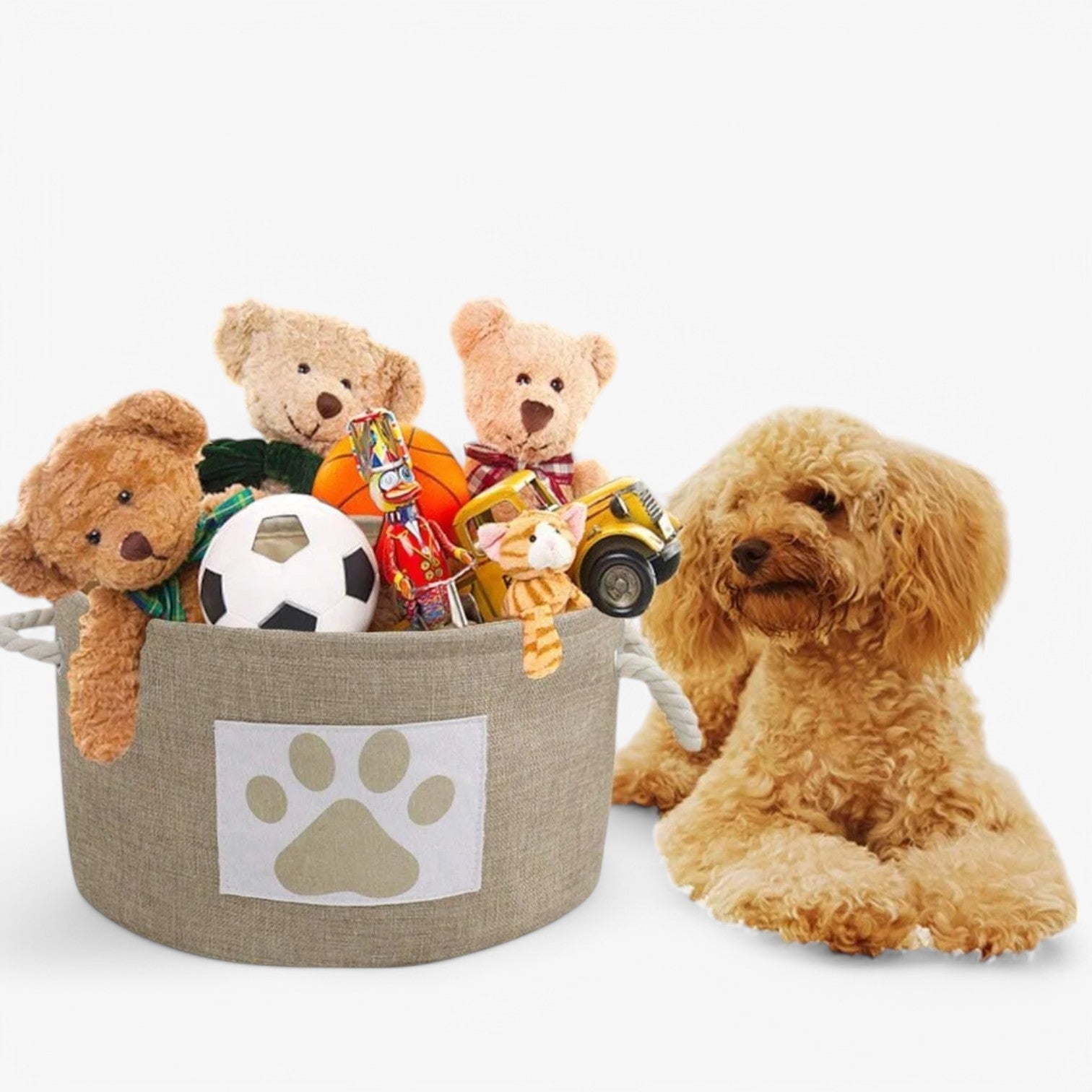 BowLift | Foldable Toy Basket "OrderNest" for Dog Accessories