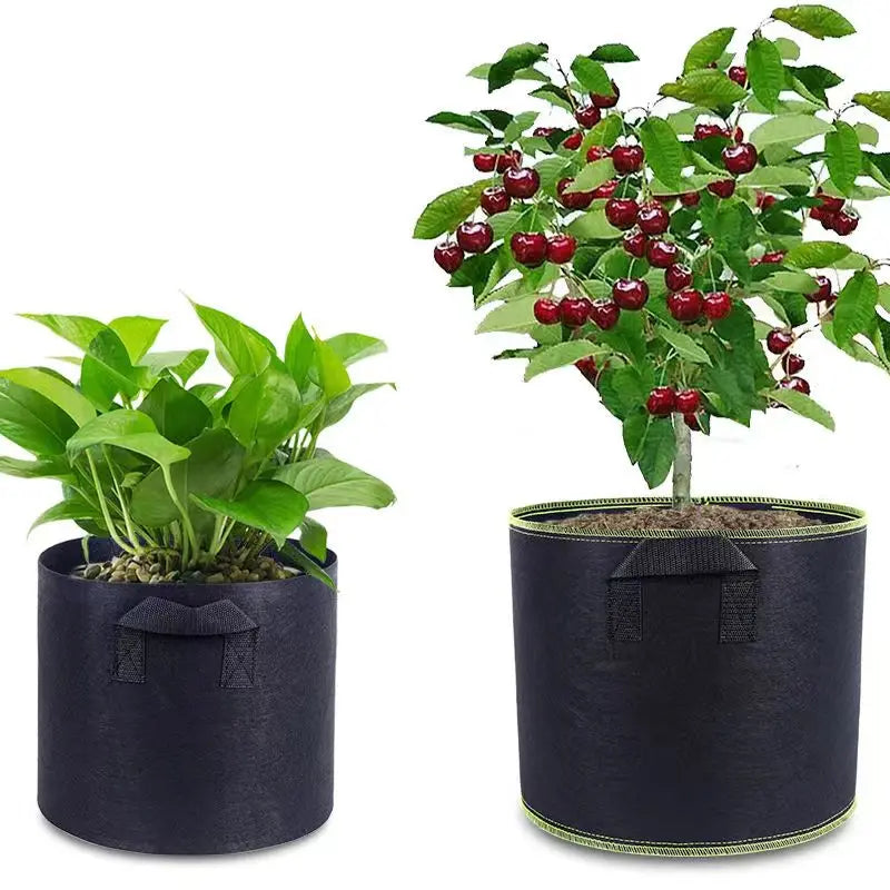 BowLift | Planting bag made of nonwoven fabric – Robust garden container with handles for plants