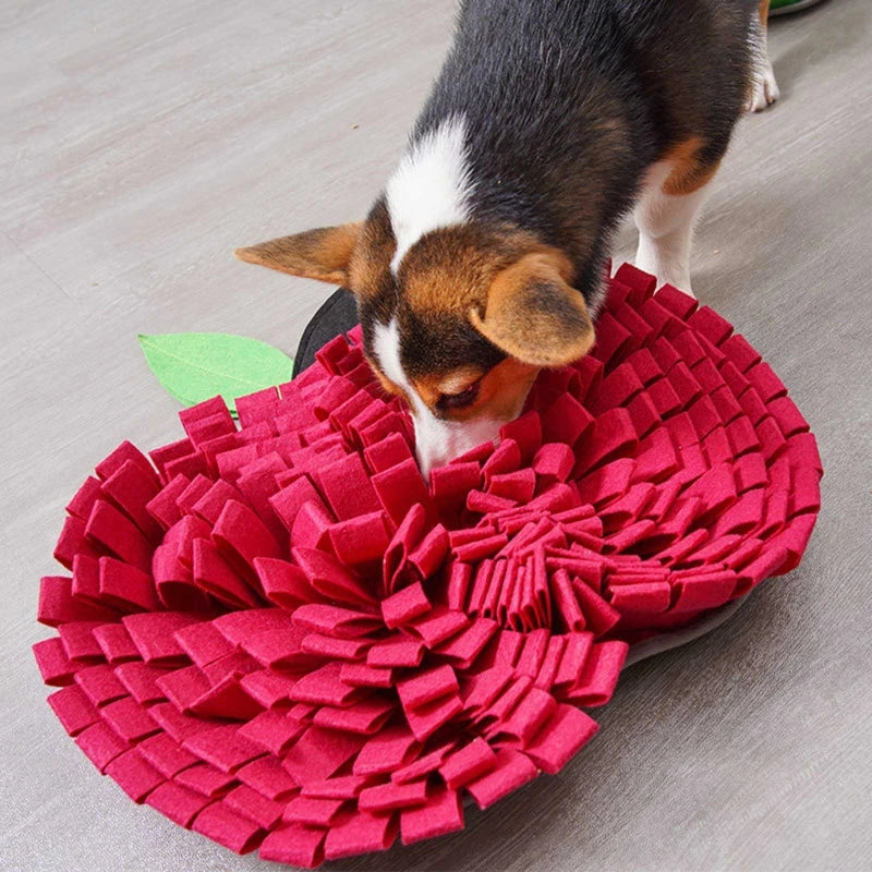 AppleForage •  Dog Snuffle Mat