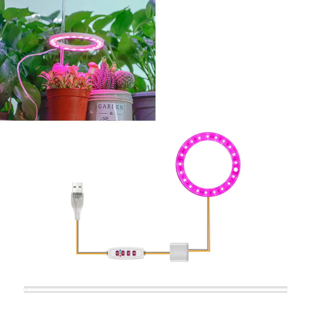 BowLift | Plantuno Ring Plant Light | LED Grow Light with Timer | USB | Dimmable & 3 Light Colors | 1–4 Heads