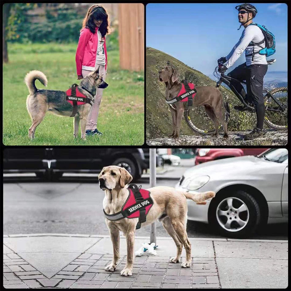 PawsFit •  No Pull Dog Harness