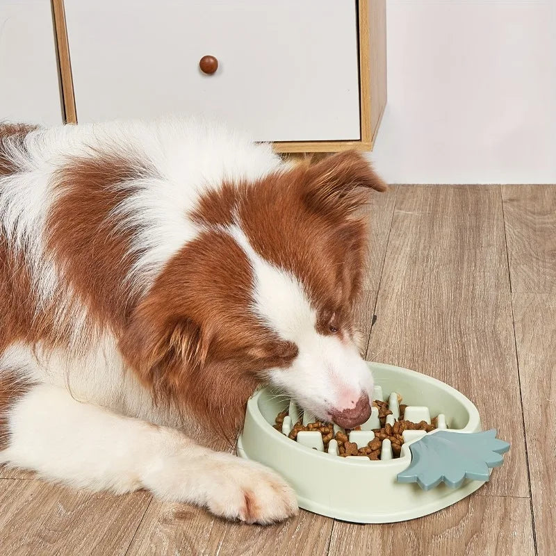 PineappleBerry •  Dog Feeding Bowl Slow