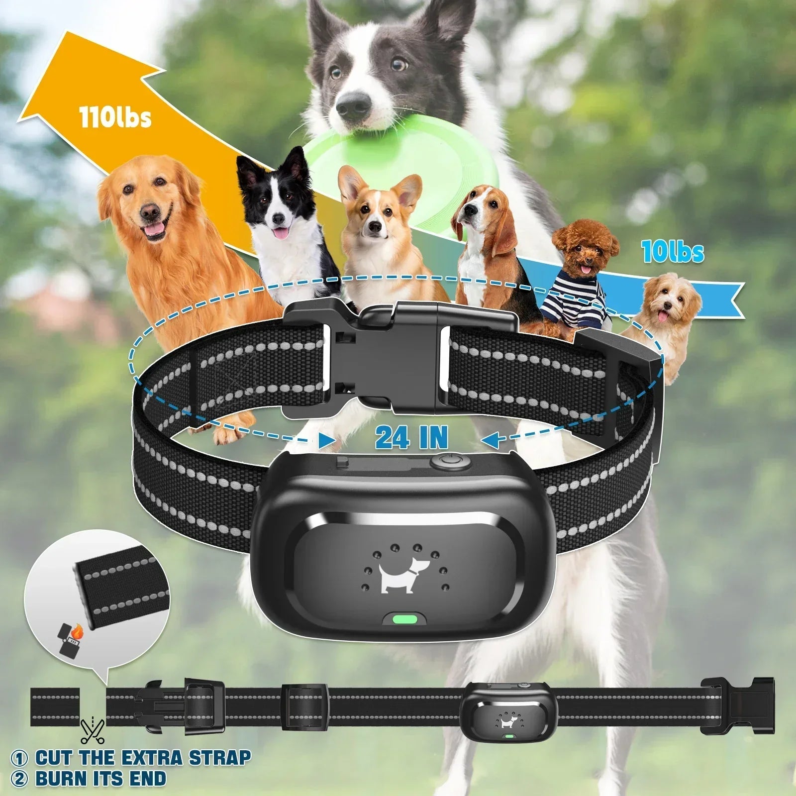 BowLift | Dog Training Collar with Remote – Shock Lock, Sound & Vibration Modes, Waterproof, 1600ft Range