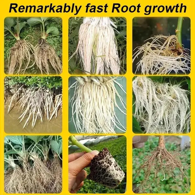 BowLift | Strong Rooting Powder for Healthy Plant Growth