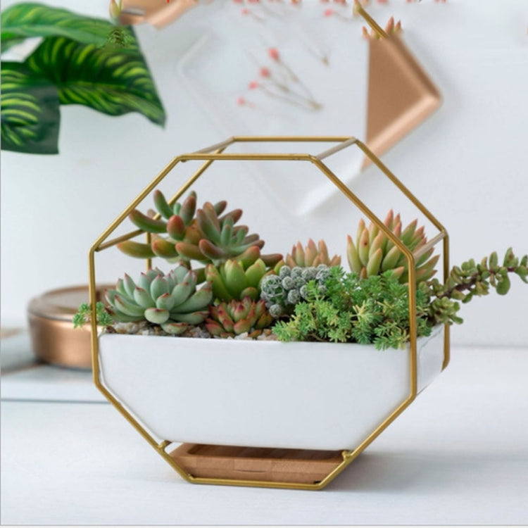 BowLift | Simple octagonal geometric wall-mounted table succulent plate bamboo support iron frame flower pot (Gold)
