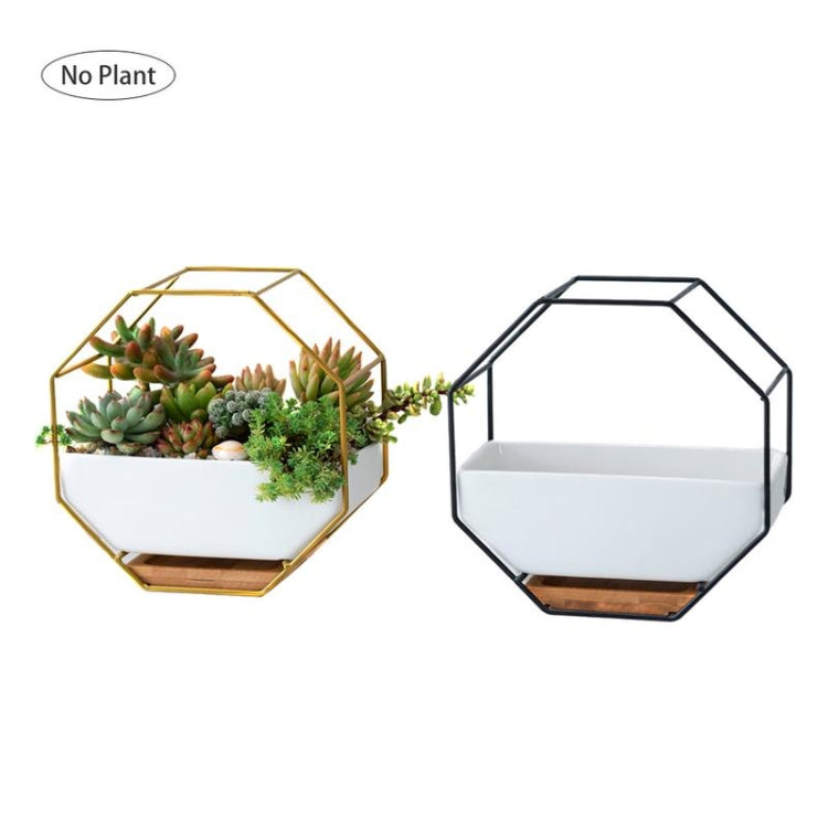 BowLift | Simple octagonal geometric wall hanging table succulent plate bamboo support iron frame flower pot (black)