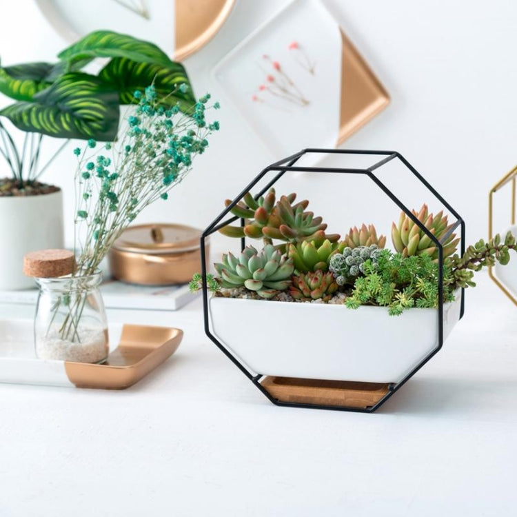 BowLift | Simple octagonal geometric wall hanging table succulent plate bamboo support iron frame flower pot (black)