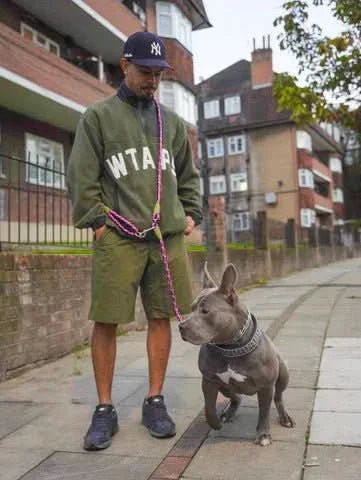 BowLift | FREEDOMLEAS – Freely adjustable leash for jogging, walks & full freedom of movement