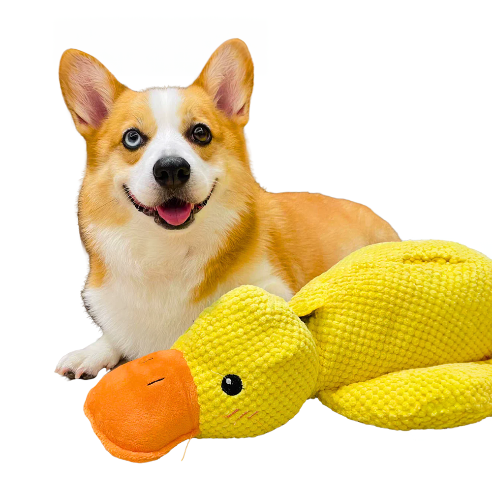 BowLift | Dog Toy Plush Duck for Mental Stimulation