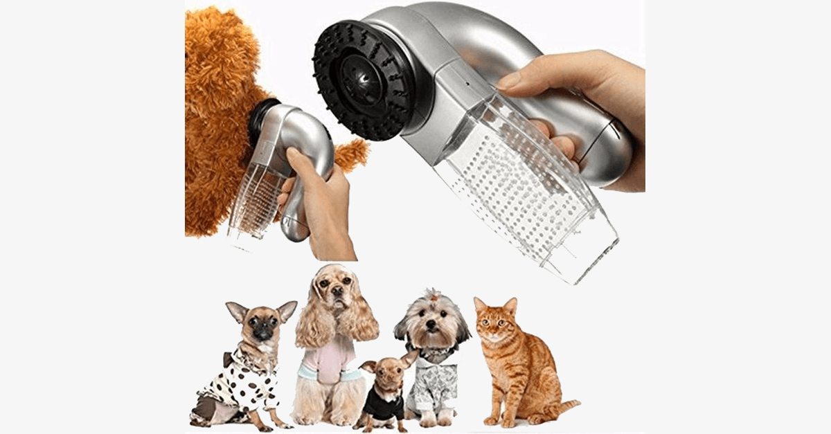BowLift | Pet Vacuum Groomer