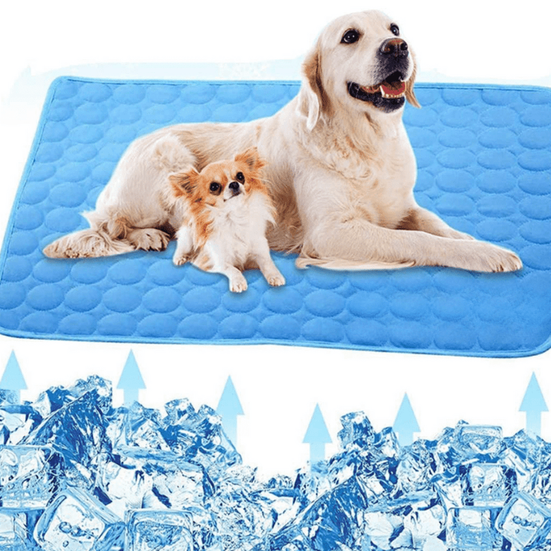 BowLift | Cooling dog mat for instant refreshment & comfort