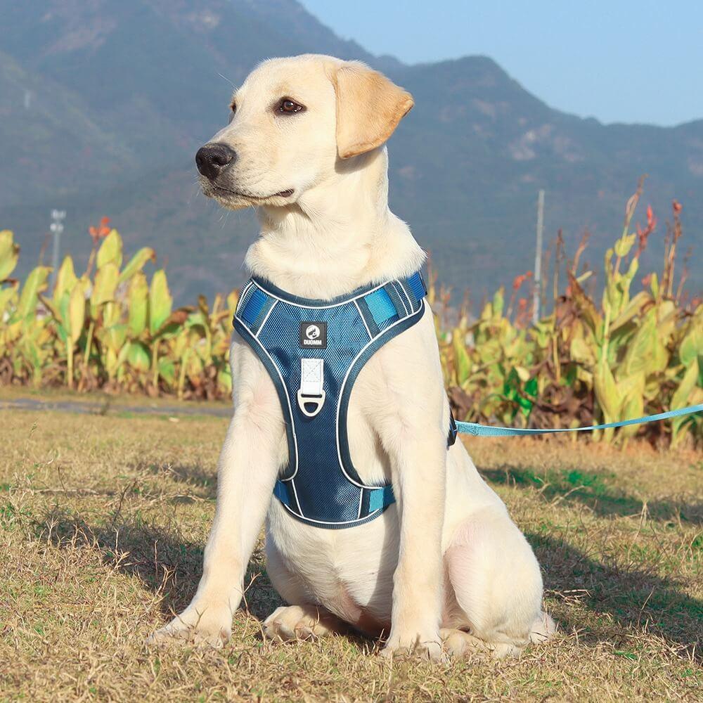 PawsControl - The Ultimate No Pull Dog Harness