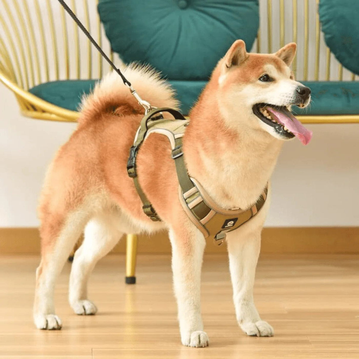 PawsControl - The Ultimate No Pull Dog Harness