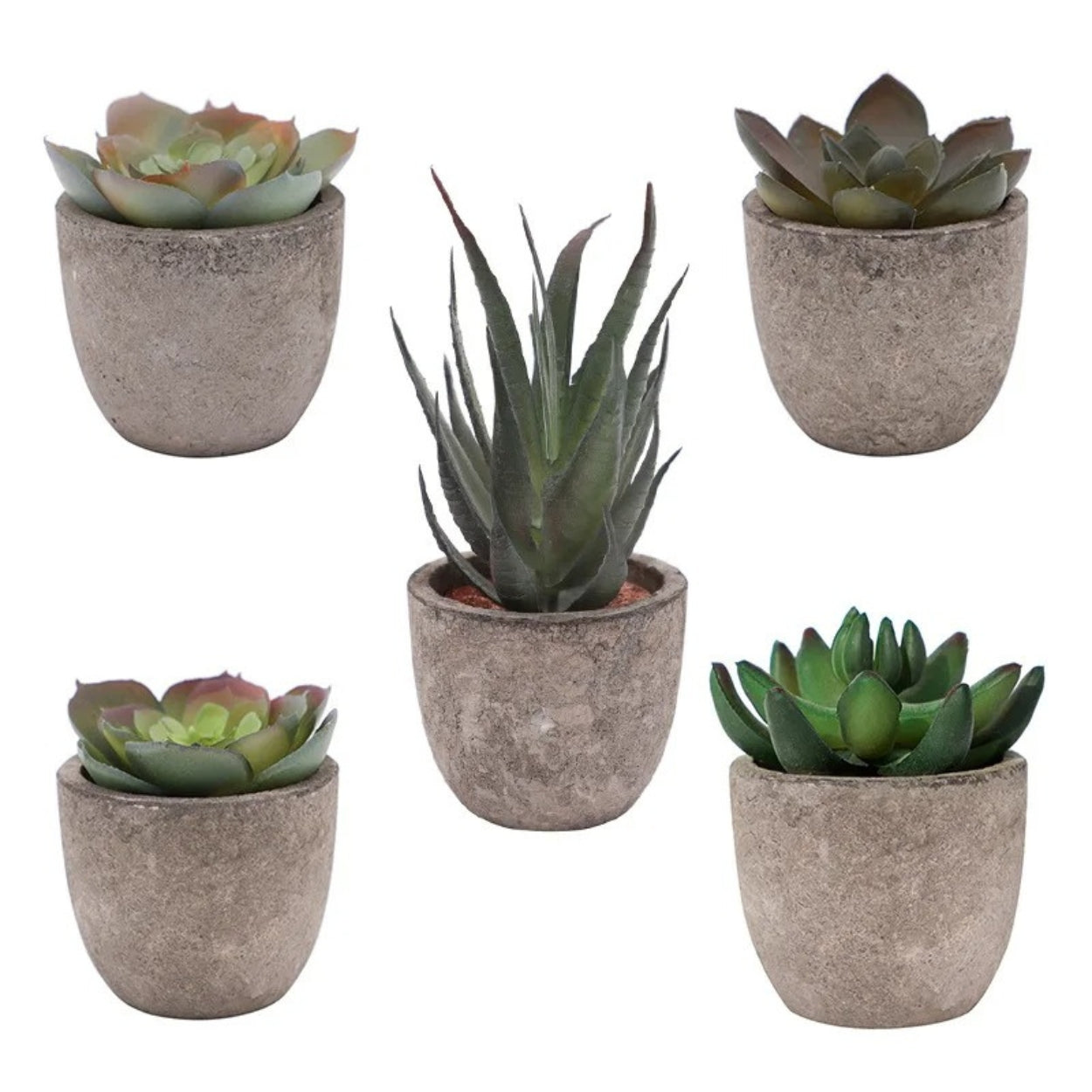 BowLift | Verdea Artificial Succulent Plant Decor