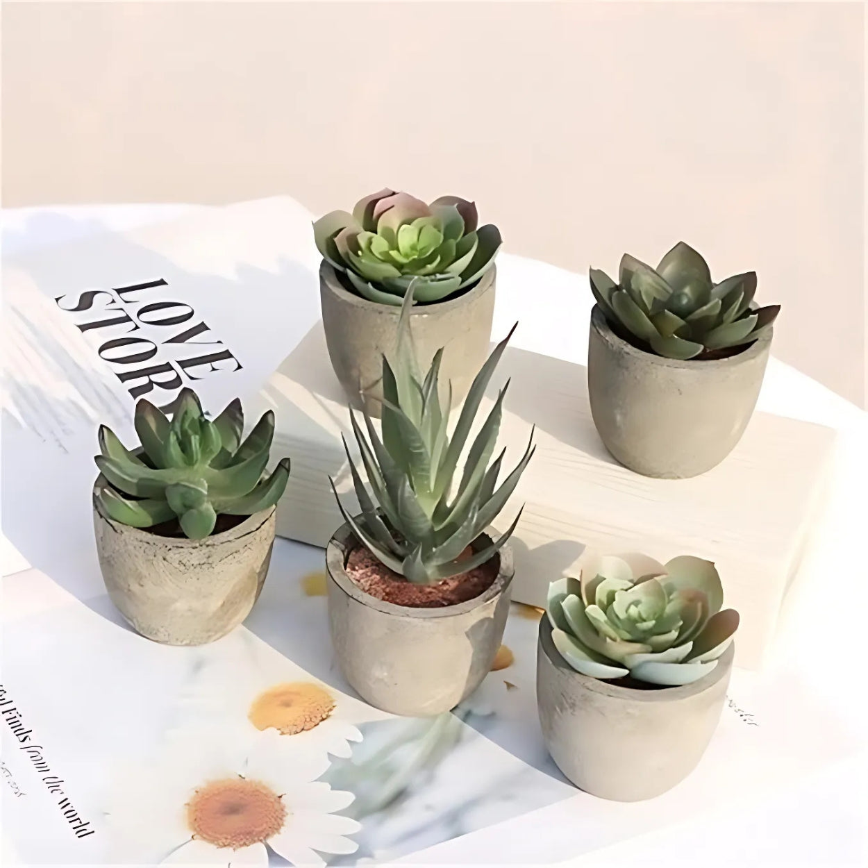 BowLift | Verdea Artificial Succulent Plant Decor
