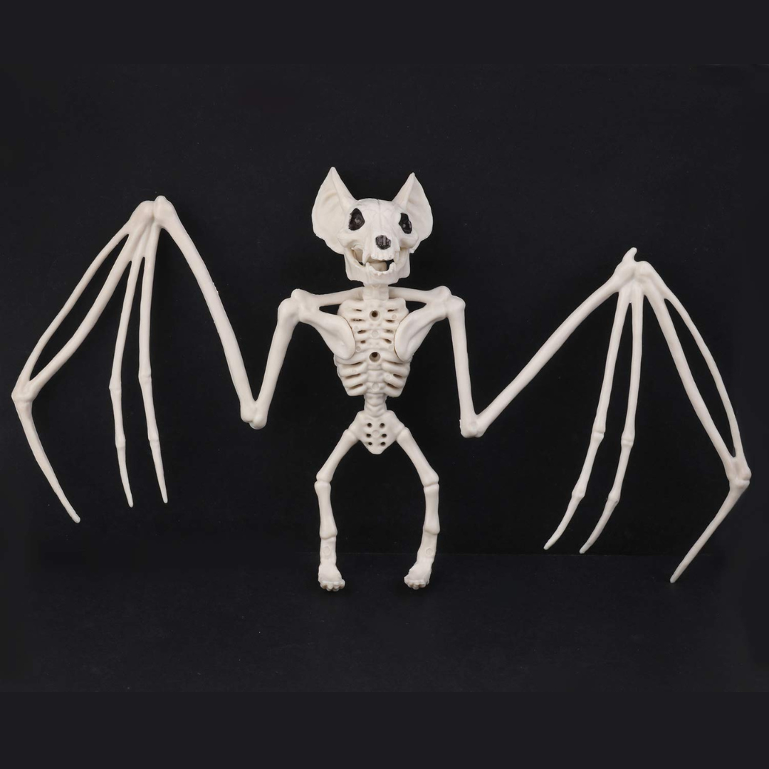 BowLift | SpookySkeleton – Gothic Wall Art Hanging Ornament for Halloween
