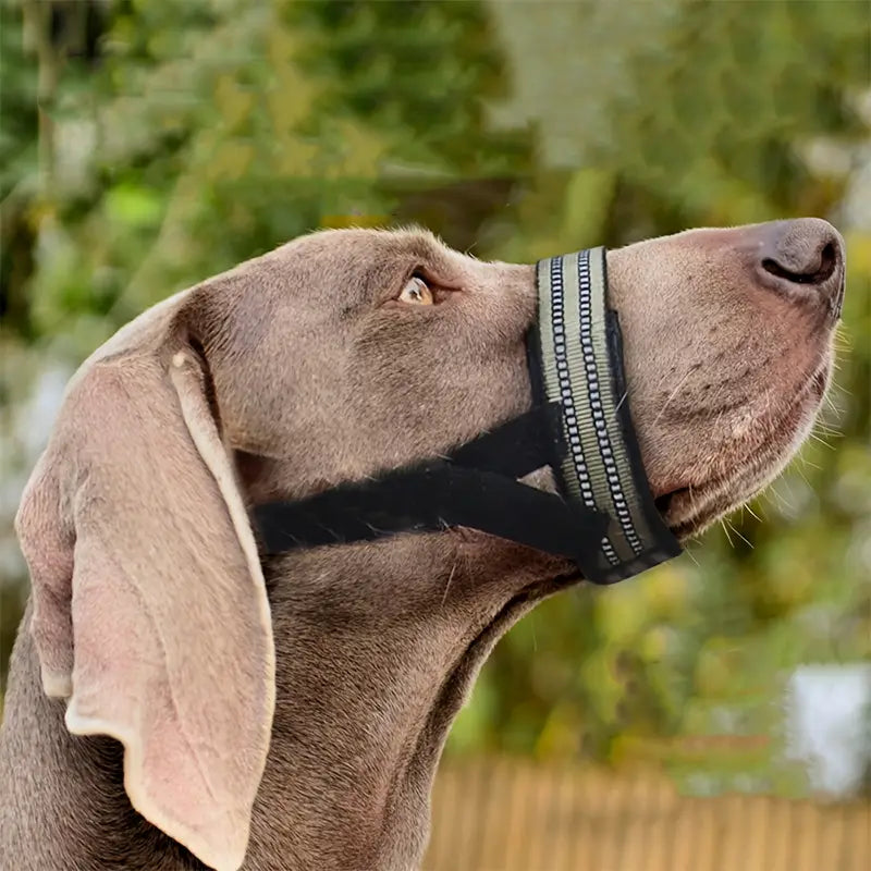 BarkShield •  Adjustable Dog Muzzle