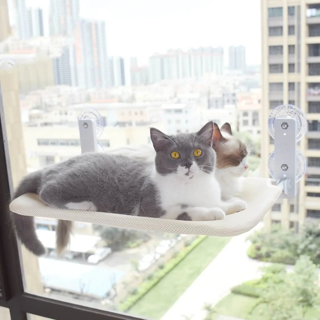 BowLift | Foldable Cat Hammock Suction Cup Cat Hammock