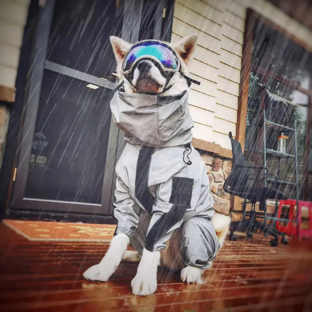 WeatherGuard  • Dog Waterproof Raincoat