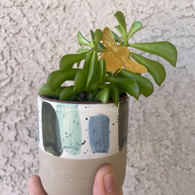 BowLift | Plant Animal Decorations