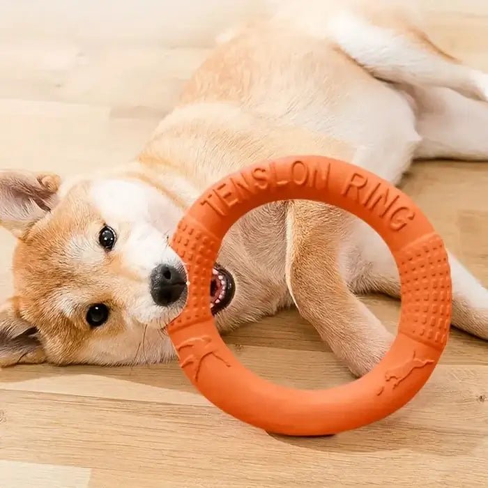 AeroFetch • Interactive Dog Toy - Interactive Dog Toy - BowLift