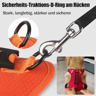BowLift | No Pull Dog Harness for Pets