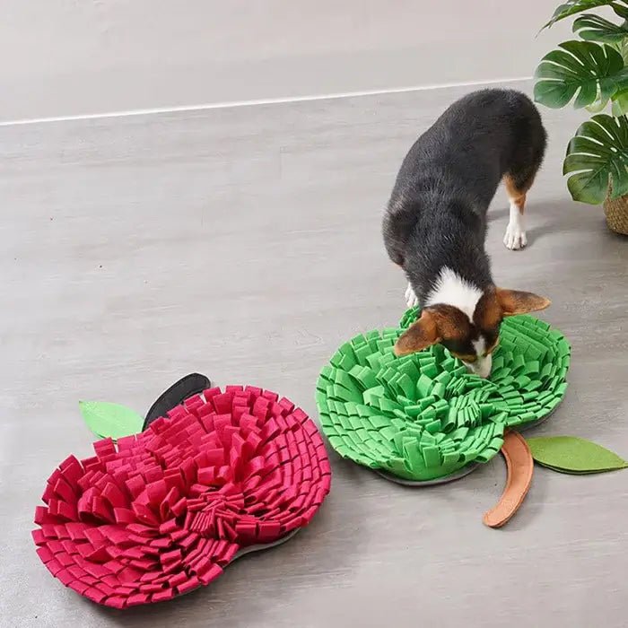 AppleForage • Dog Snuffle Mat - Dog Snuffle Mat - BowLift