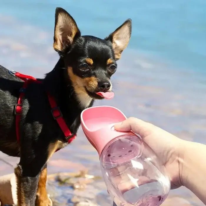 AquaPaws • Portable Dog Water Bottle - Portable Dog Water Bottle - BowLift