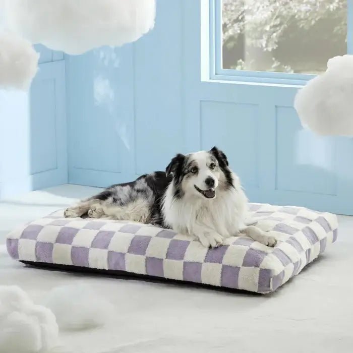 AquaRest • Waterproof Dog Bed for Indoor & Outdoor Comfort - Dog Bed - BowLift