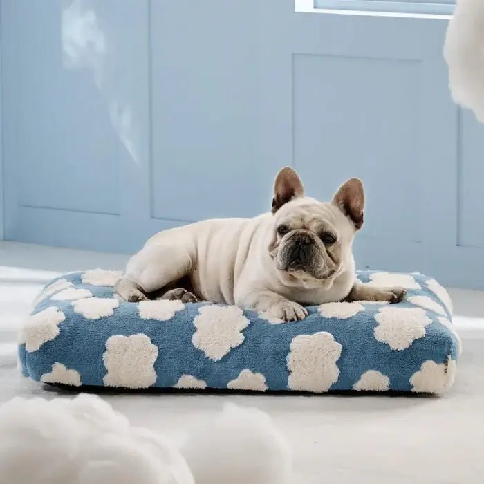 AquaRest • Waterproof Dog Bed for Indoor & Outdoor Comfort - Dog Bed - BowLift