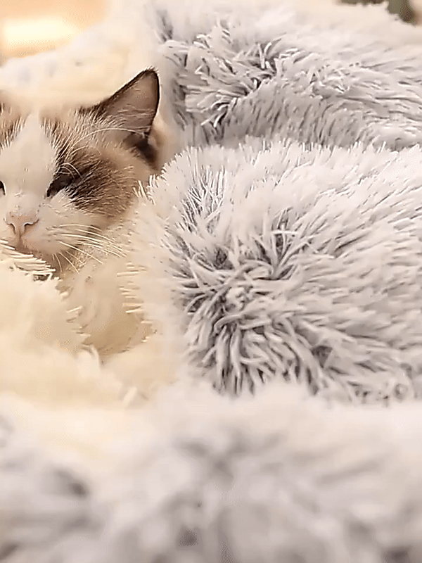 BowLift | Cozy Cave Pet Bed | Calming & Comfortable Dog Bed for Deep Relaxation