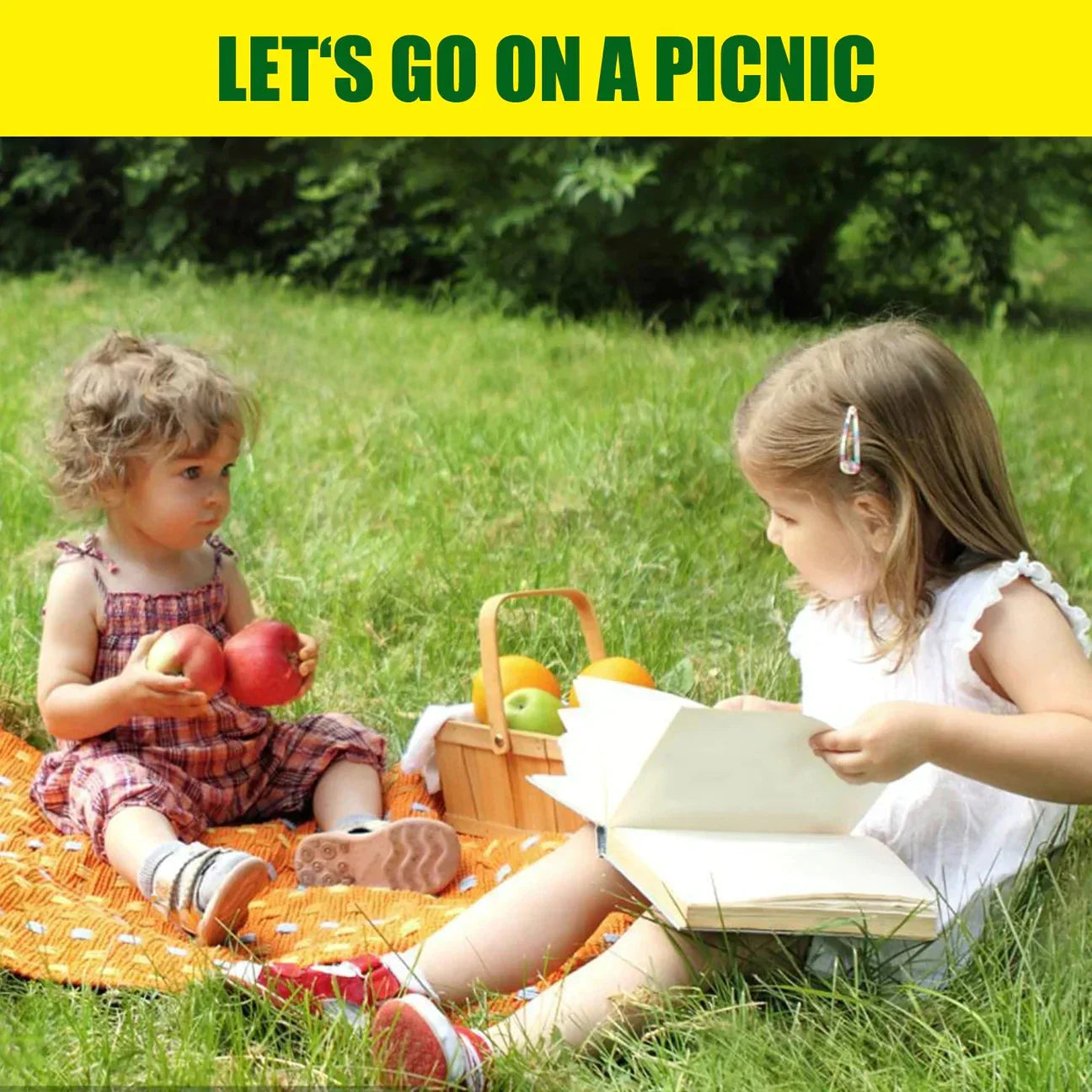 BowLift | Biodegradable Netted Grass Seed Mat | All-in-One Growth System for Quick Germination in Sun, Shade & Slopes