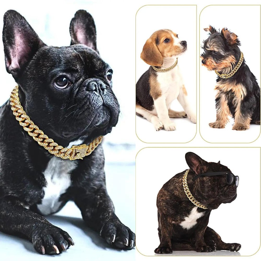 BlingPaws • Dog Gold Chain Collar - Dog Gold Chain Collar - BowLift