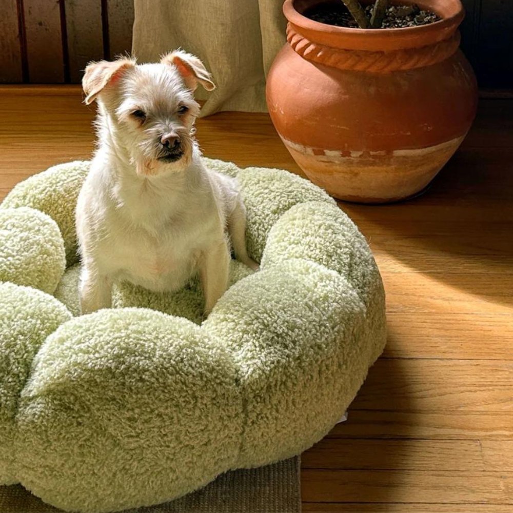 BlossomNest • Calming Flower Bed for Dogs & Cats - Dog & Cat Bed - BowLift