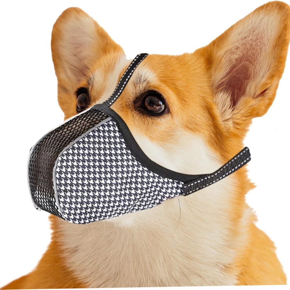 BreathEase • Mesh Dog Muzzle - Mesh Dog Muzzle - BowLift