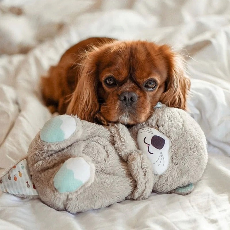 BowLift | Calming Breathing Otter Toy with Music and Lights