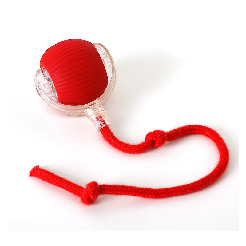 BowLift | Interactive Cat Toy Ball for Indoor Use