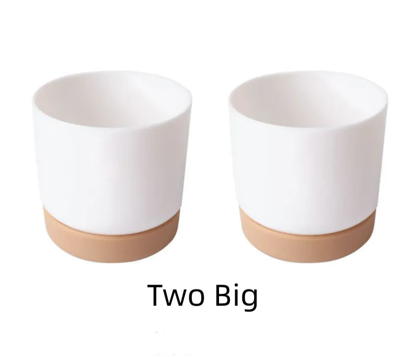 BowLift | Self-watering flower pot for orchids and plants – Plastic plant container