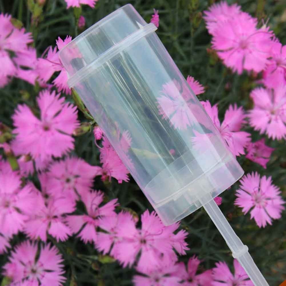 BowLift | Cake Container Cupcakes Push Up (50pcs)