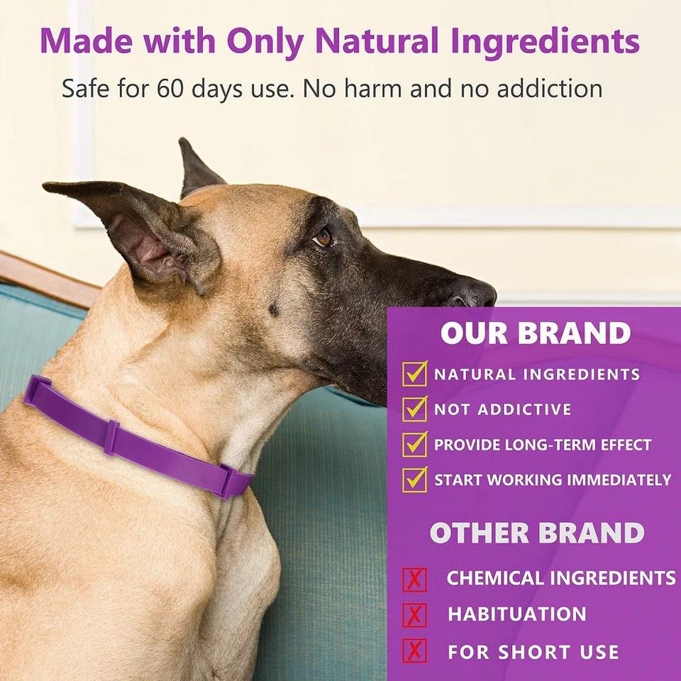 BowLift | Calmdog – Natural Calming Collar for Dogs with Pheromones and Essential Oils