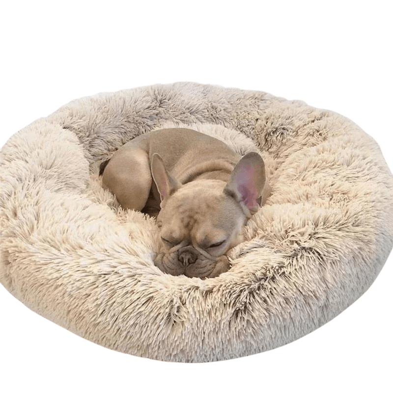 BowLift | SLUMBERPAWS BED – Calming Dog Bed for Deep, Restful Sleep