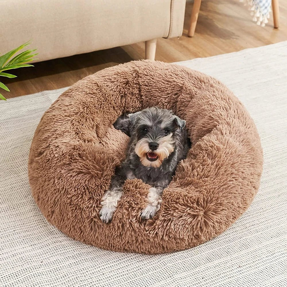 BowLift | SLUMBERPAWS BED – Calming Dog Bed for Deep, Restful Sleep