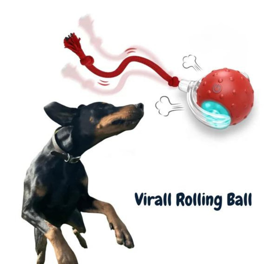 ChewRoll • Rolling Ball Toy - Dog Toy Ball - BowLift