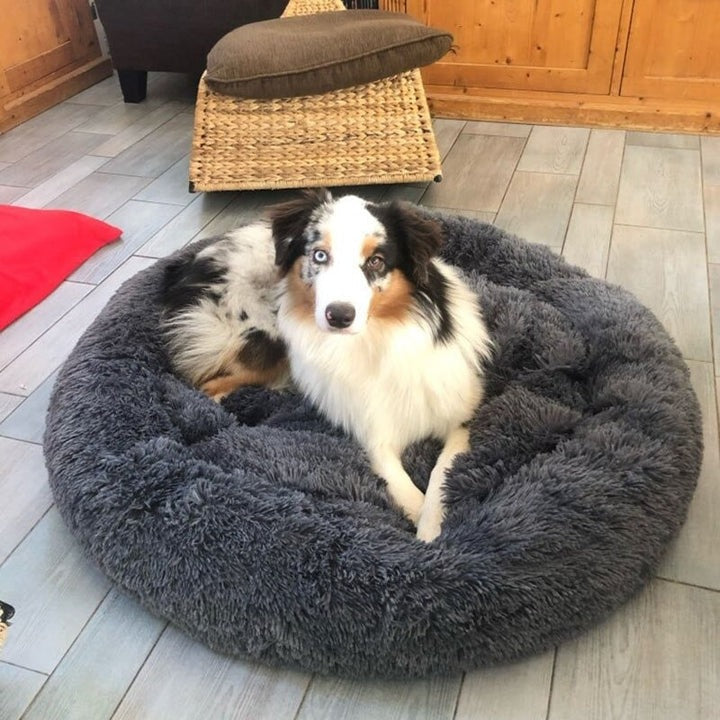 BowLift | Dog Bed Plush Orthopaedic Calming Pet Cushion