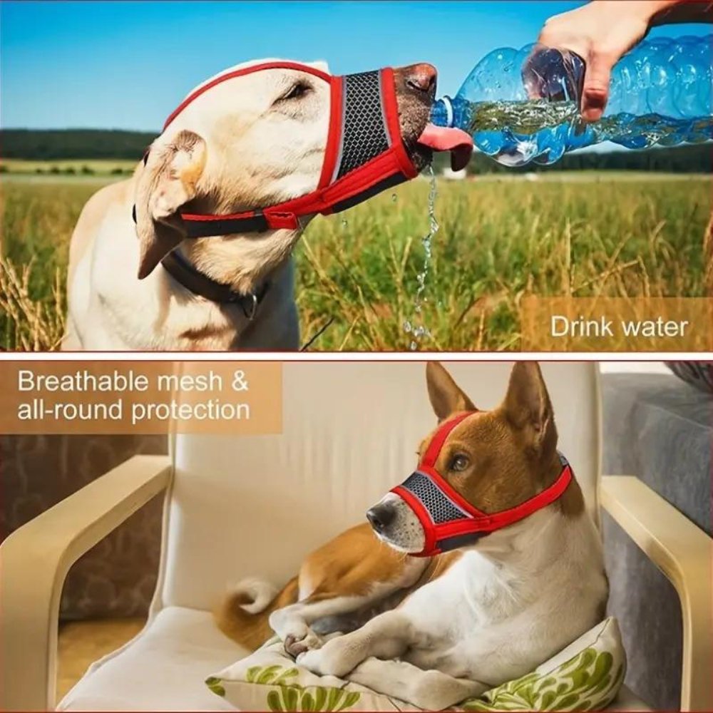 ComfortGuard • Dog Muzzle - Dog Muzzle - BowLift